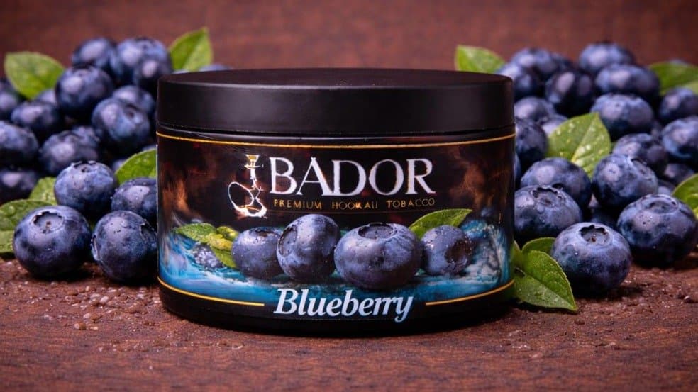 BADOR TÜTÜN 100QR BLUEBERRY